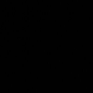 Meet your Posher, Mia